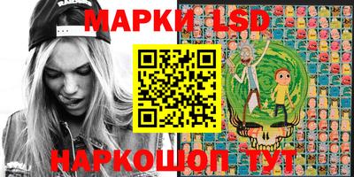 прущие грибы Будённовск