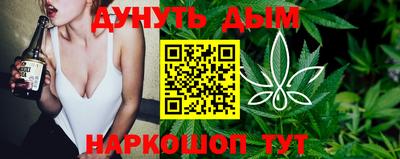 прущие грибы Будённовск