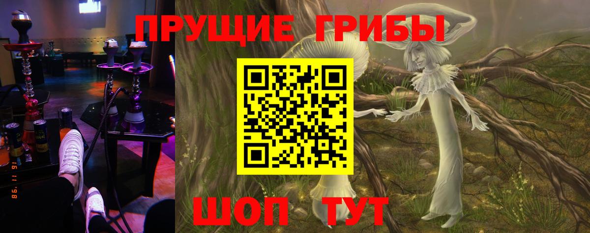 Галлюциногенные грибы Psilocybe  Вход с VPN  Галлюциногенные грибы мицелий  Дюртюли 